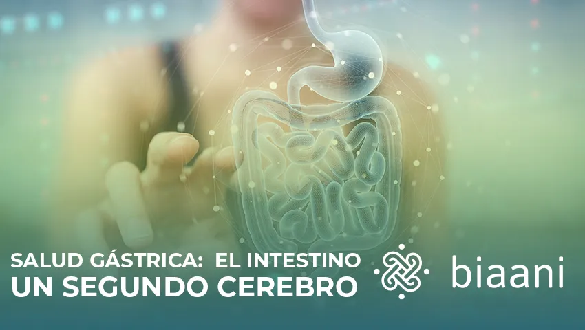 Beneficios de Consumir Ácidos Grasos