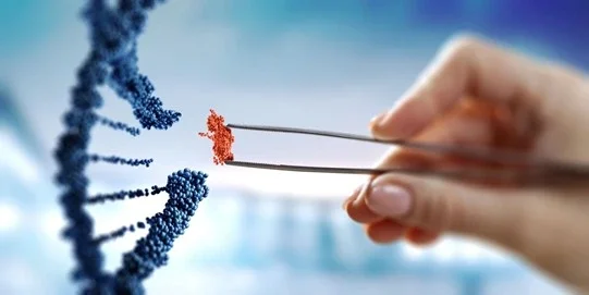 El epigenoma: la capa que influye en cómo funciona tu cuerpo.